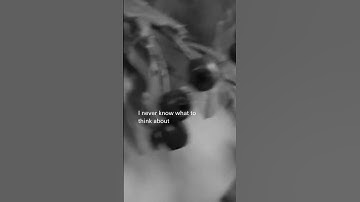Thumbnail of About You #the1975 #newmusic #aboutyou