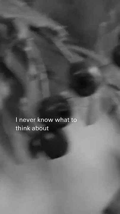 About You #the1975 #newmusic #aboutyou