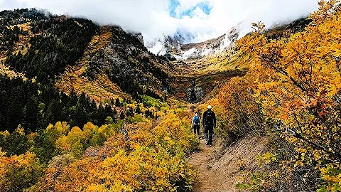 PEAK FALL COLORS IN UTAH | STEWART FALLS SUNDANCE ...