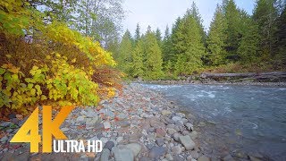 4K Mountain River - Ambient Collection - Nooksack River, Mount Baker Area, WA - 3 HRS