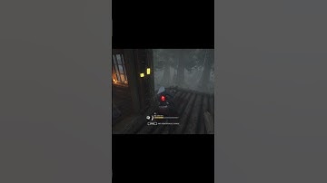 I made a fwiend 🥺 #dbd #deadbydaylight #sableward #dbdclips