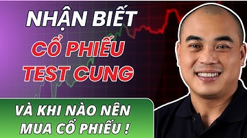 VSA 360 | Nhận biết cổ phiếu TEST CUNG và khi nào nên mua cổ phiếu | Quang Dũng DBD