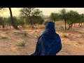 ناحت الورق محمد عمر