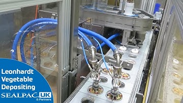 Leonhardt Vegetable Depositing for a Range of Products | Automation for the Food Industry