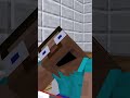 Steve Was Shown The Ideal - Minecraft Animation #short