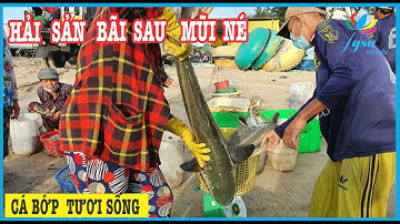 Độc Đáo Hải Sản Bãi Sau Mũi Né Phan Thiết | Nhộn Nhịp Những Chuyến Xuồng Máy