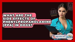 What Are The Side Effects Of Phenylpropanolamine (PPA) In Dogs - Ask A Pet Vet