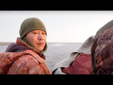 Большая рыба. Рыбалка на Карском море | Полярные истории