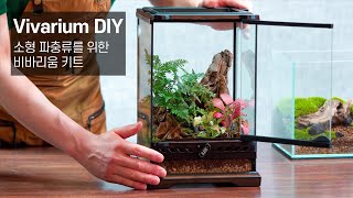 Vivarium is finished with one! Vivarium Building Kit for Small Reptile Crested Geckos by 내츄럴팟 NATURALLPOT 17,463 views 9 months ago 5 minutes, 35 seconds