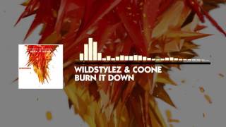 Wildstylez & Coone - Burn It Down