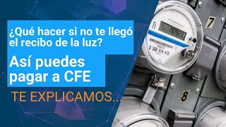 Cómo Pagar El Recibo De Luz Cfe Si No Me Llegó O Lo Perdí Dinero En Imagen