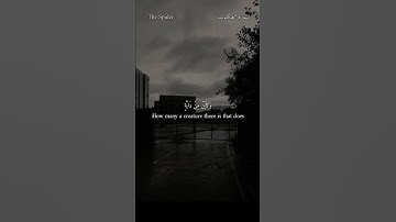 " الذين صبروا وعلى ربهم يتوكلون " تلاوه هادئه وطمأنينه للقلب ✨💛 | القارئ عبدالرحمن مسعد 🥀💙