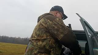 видео:  картинка: