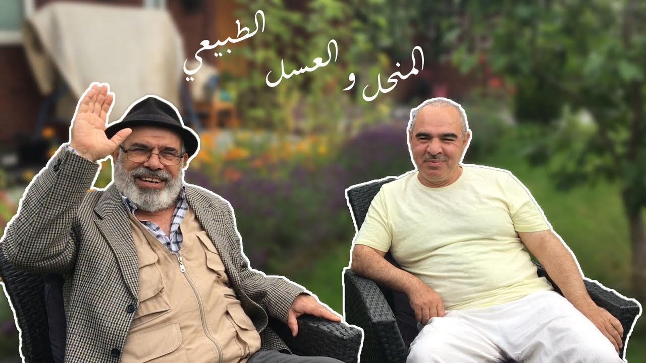 #المنحل #العسل  و العسل الطبيعي - يوميات الحجي هادي