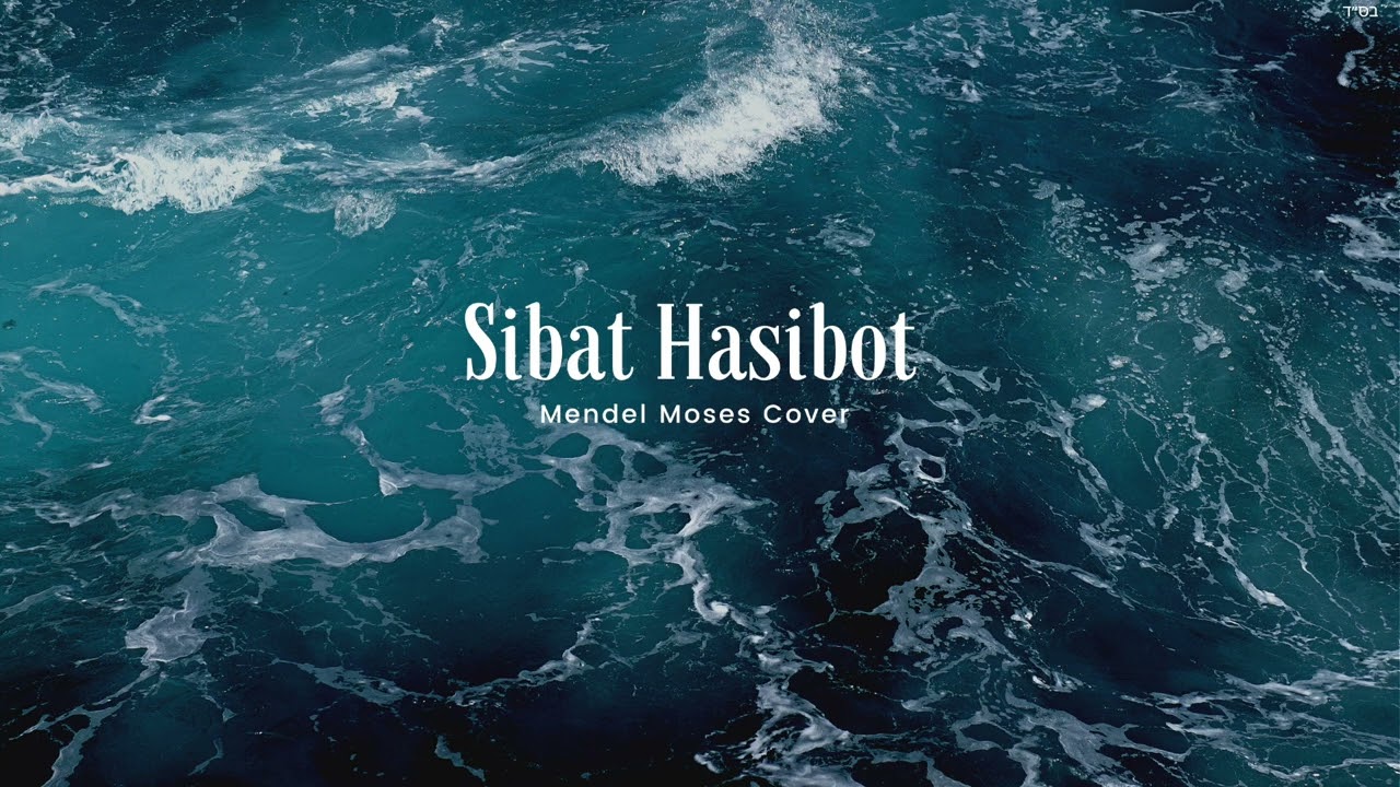 Mendel Moses - Sibat Hasibot (Cover)