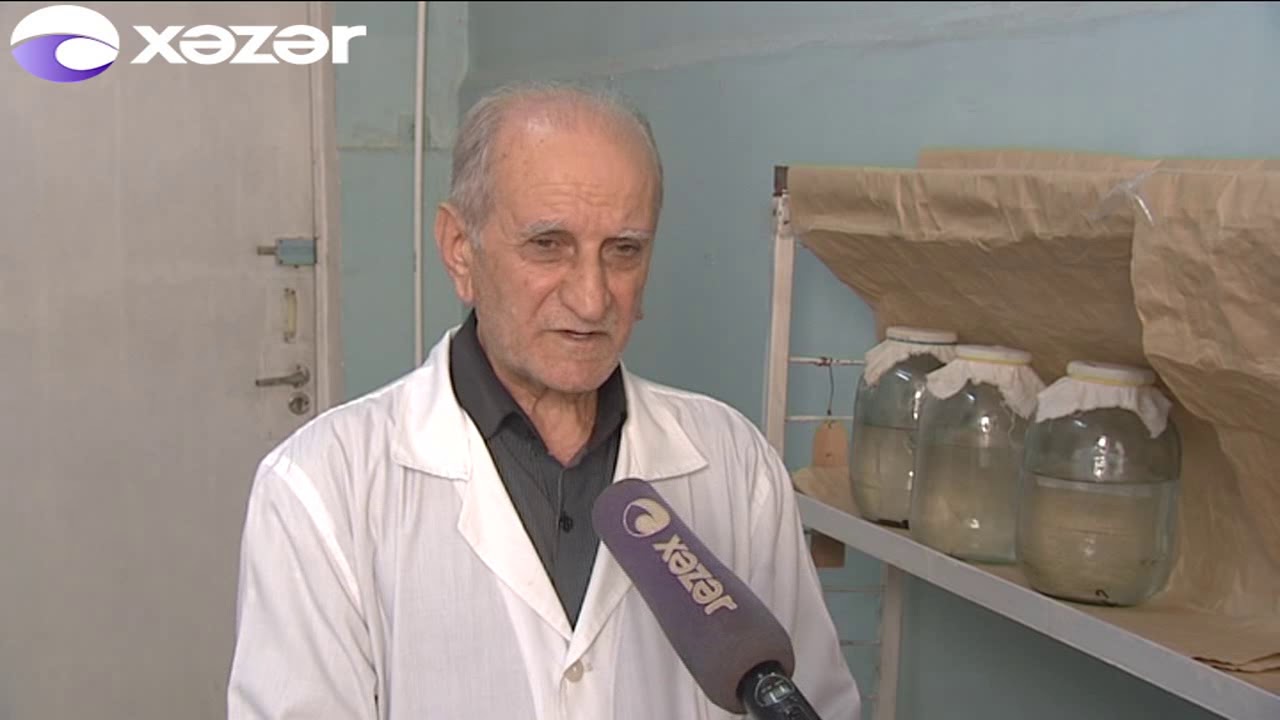 süni şəraitdə yetişdirilən zəlilər satılacaq