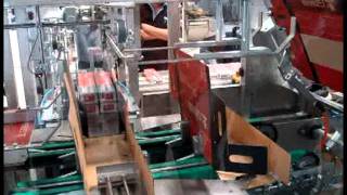 PE-901 Automatic Grouping & Packing Machine( Welding Electrodes Cases Packing 4x5 Kgs.).mpg