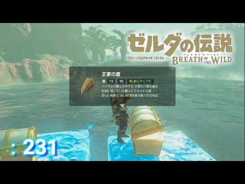 ゼルダの伝説 冒険記 231 王家の盾を集めてみました ゼルダの伝説 ブレスオブザワイルド Youtube