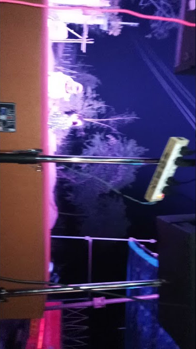 MOLA NIK LAGE RANI DJ AARADHYA & DJ RAVI ABN || SOUND CHECK WITH SARNGA CABINET 🤟💣💥