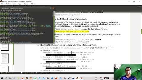 3.1.12 Lab - Explore Python Development Tools | Cisco DevNet