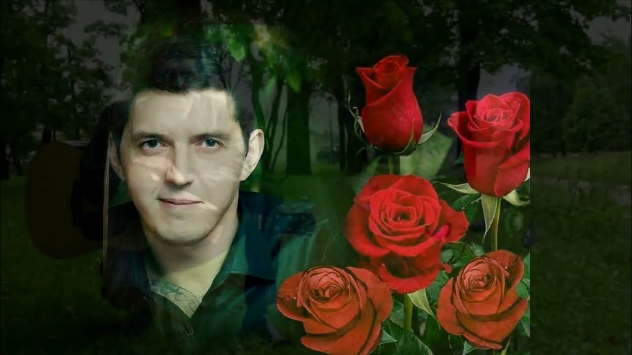 Солярис аркадий ангел