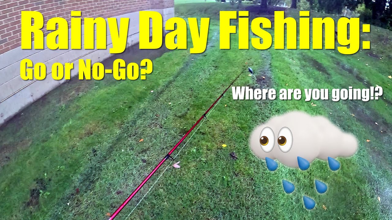 How to Catch More Bass: Tips & My Fishing Journey #FishingTips