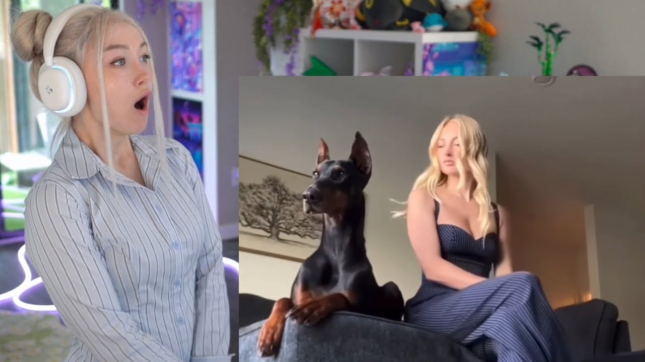 Funniest Internet Clips REACTION!!!