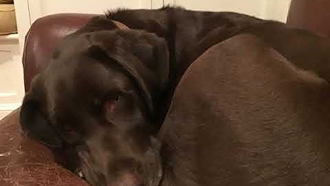 Geom 4.2 Part 2 Isosceles and Equilateral Triangles 1