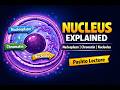 Karyolymph (Nucleoplasm), Chromatin &amp; Nucleolus Explained in Pashto | Cell Biology Lecture
