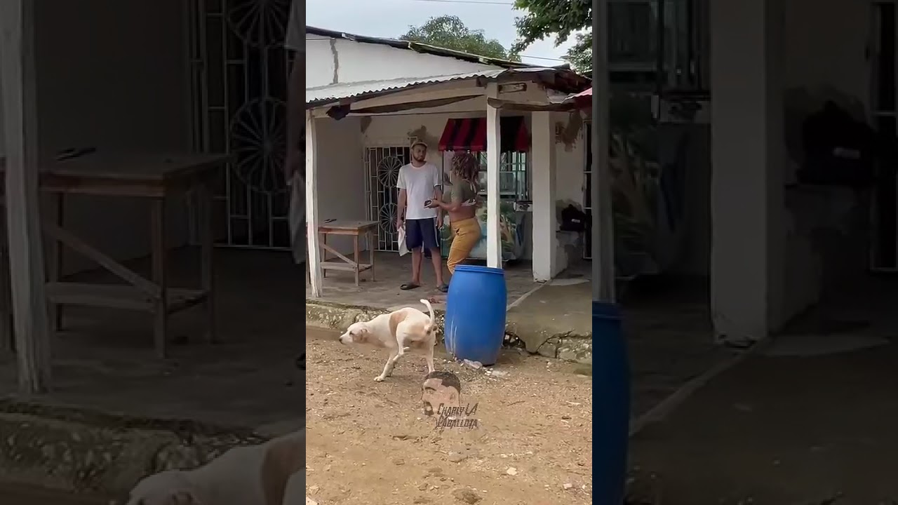 No me trates no 😂😂