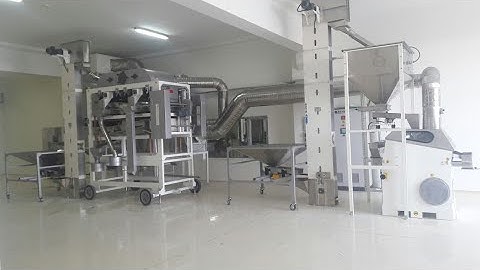 Efficient Pressure-Type Destoner Machine in Action | Precise Stone Removal | Mmctech, Inc.