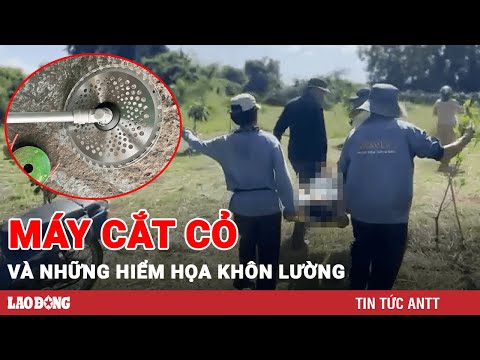 Video: Máy Làm Cỏ Tay Là Gì - Máy Làm Cỏ Tay Hoạt Động Như Thế Nào Và Sử Dụng Khi Nào