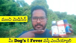 మీ dog's కి Fever వస్తె ఏంచెయ్యలి by Pet's TV Telugu 1,122 views 1 year ago 5 minutes, 59 seconds