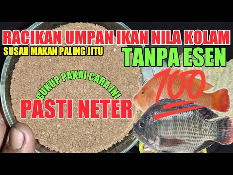 Cara Racik Umpan Ikan Nila
