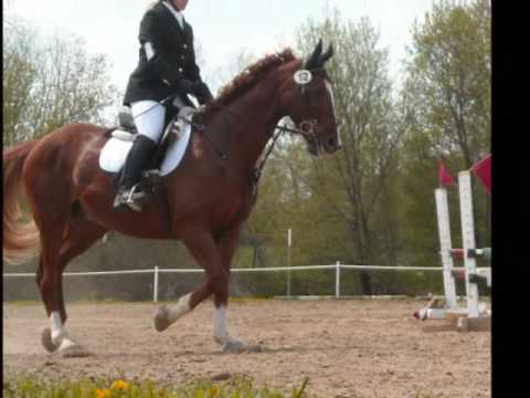 Kaytee adn Lexie-Canter Event 09'