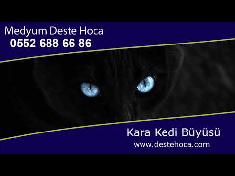 Video: Kara Kedilerin Büyüsü