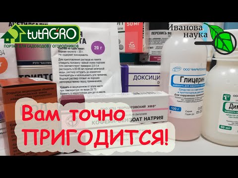 10 дешевых аптечных средств, которые точно работают! Аптечка для сада и огорода.