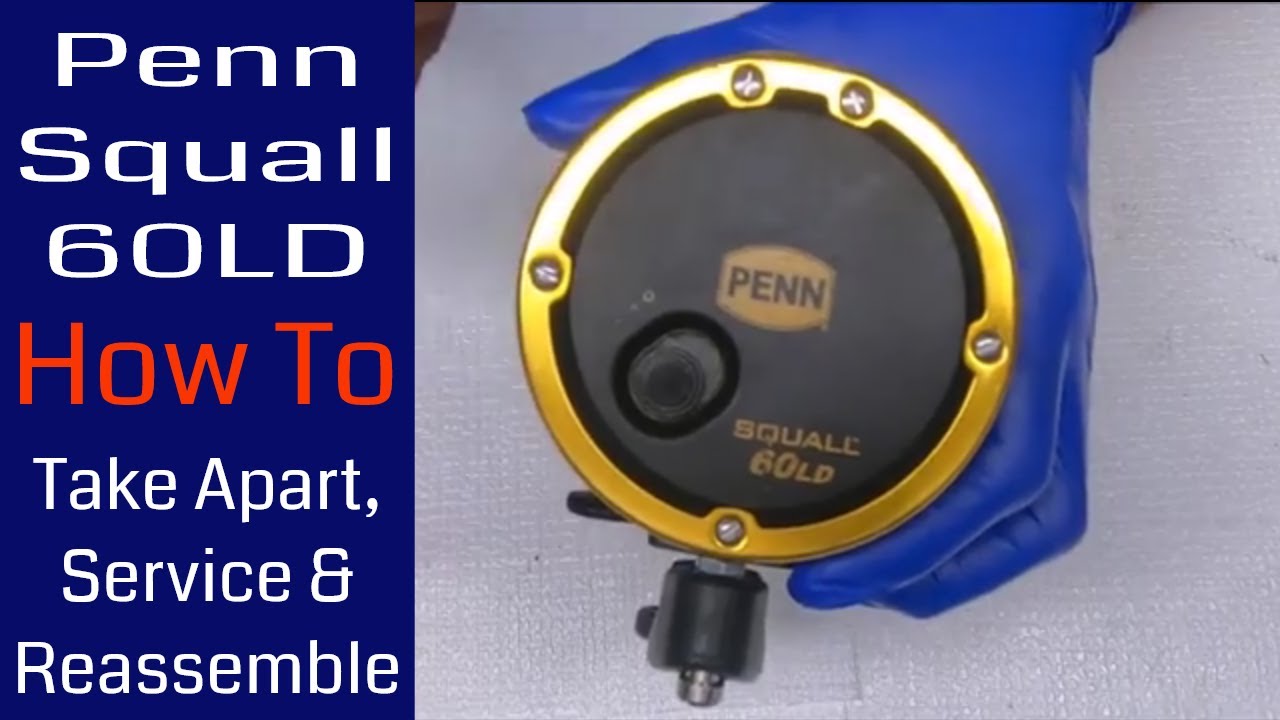 amazon fishing reel penn squall 60 6'6" II Level Wind Saltwater Rod and Combo, 1-Piece Fishing Rod, Black/Gold : Sports & Outdoors with a new 40N High Speed model Penn Squall Lever Drag