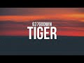 637godwin - Tiger (Lyrics)