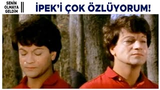 Senin Olmaya Geldim Türk Filmi | Erhan, İpek&#39;i çok özlüyor!