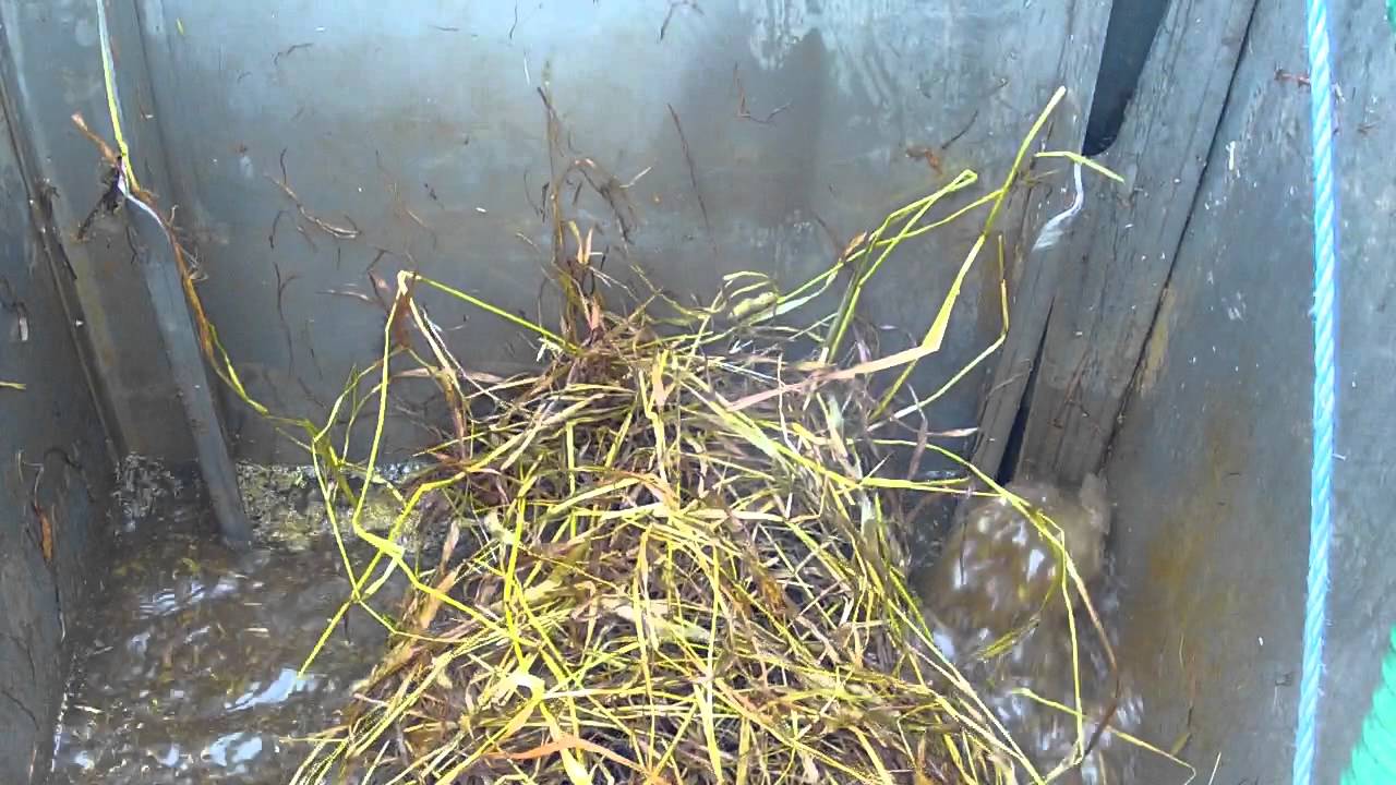 Grass Maceration by Haigh Engineering YouTube