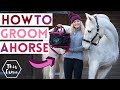 How to Groom a Horse + What's in my Grooming Kit + Tips for Grey Ponies AD | This Esme