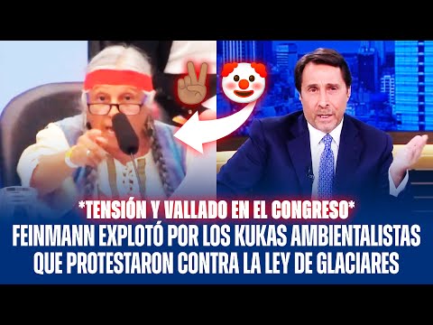 FEINMANN EXPLOTÓ CONTRA LOS KUKAS AMBIENTALISTAS QUE PROTESTARON CONTRA LA LEY DE GLACIARES