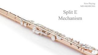 Pearl Flute 50th anniversary Maesta MD14KRBE/50A Calore hj