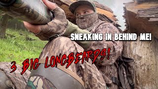 3 BIG GOBBLERS SNEAK IN BEHIND ME! - Virginia Spring Turkey Hunting in May