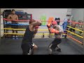 MIGHTY MOUSE VS. DALLAS STREET BOXING KING (SAVAGE)