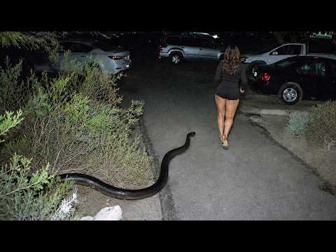 MYSTERY and Scary videos caught on CAMERA! #6