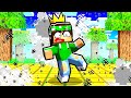 SOPRAVVIVI CON LA CORONA PER VINCERE 1.000.000€ su MINECRAFT!