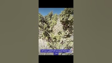 تلاوةخاشعة فضيلة الشيخ عبدالله الخليفي رحمه الله تعالى