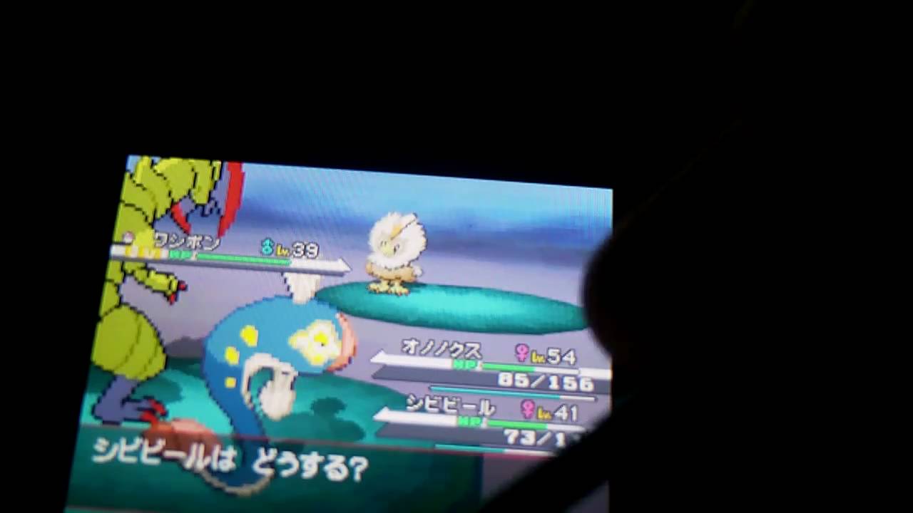 Shiny Rufflet/Washibon appears on JAP White after 5194 REs!